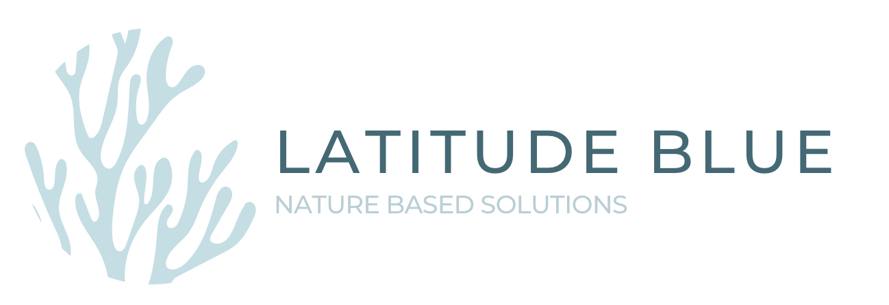 Latitude Blue Logo